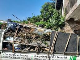 Best Commercial Junk Removal  in Beechwood, MI